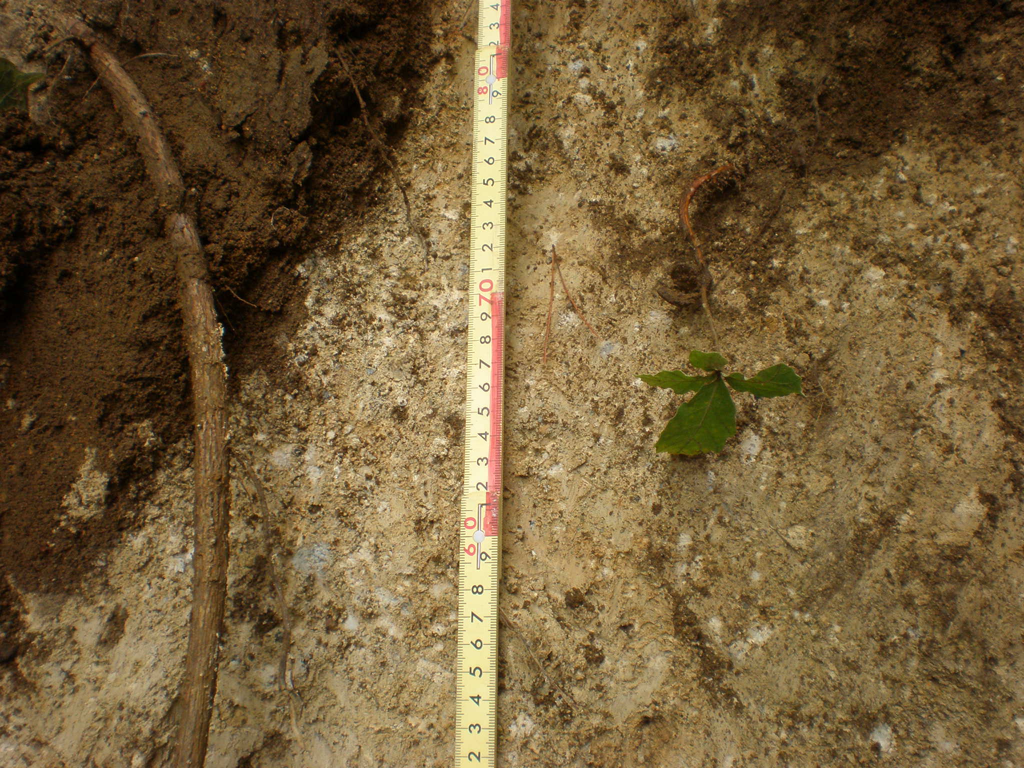 P7150042