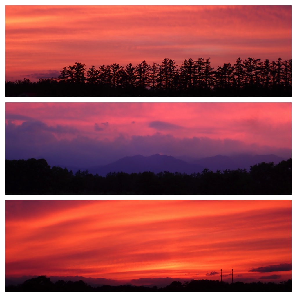 recent_162-1
