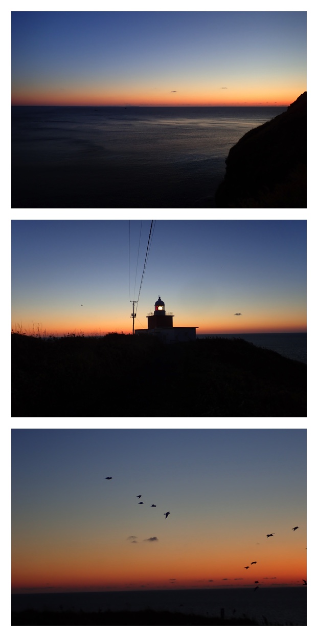 recent_211-1