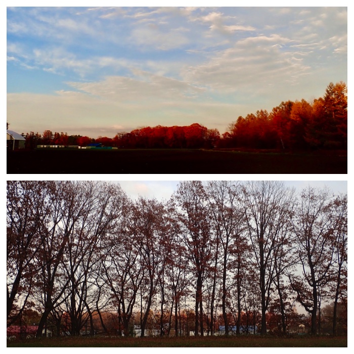 recent_303-57