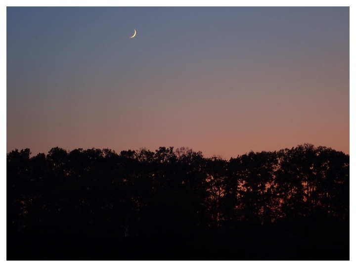 recent_302-1