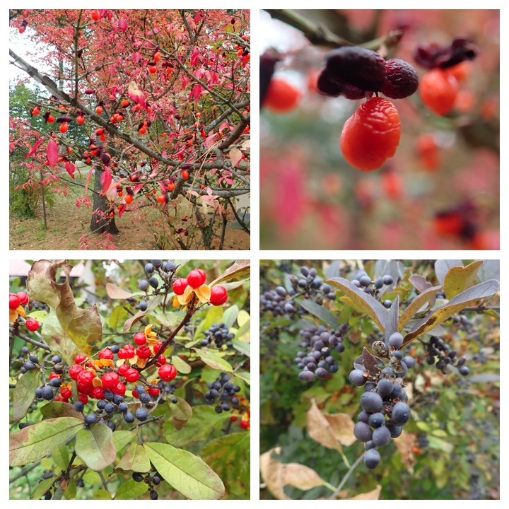 recent_303-30