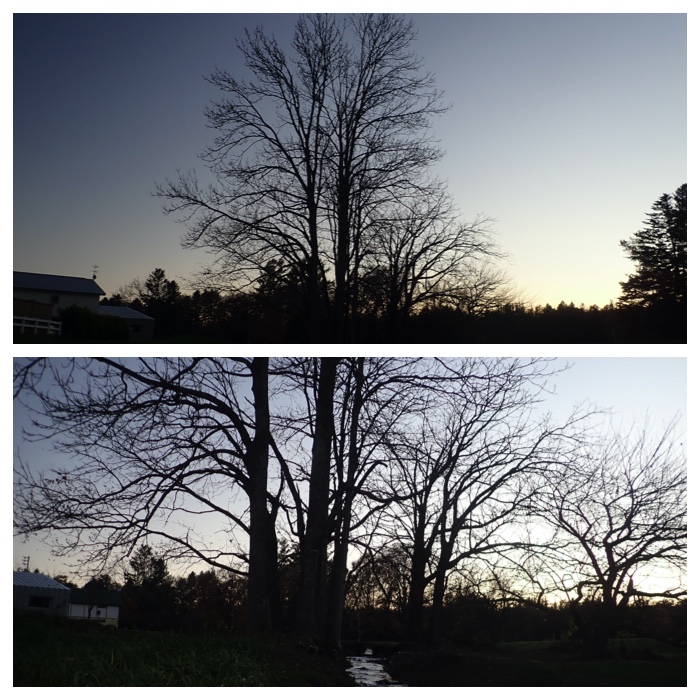 recent_303-54
