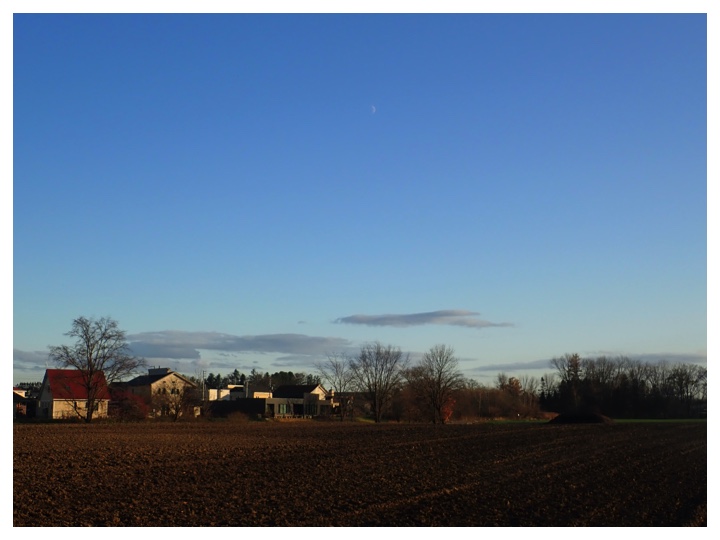 Walk_2019_11_4_6