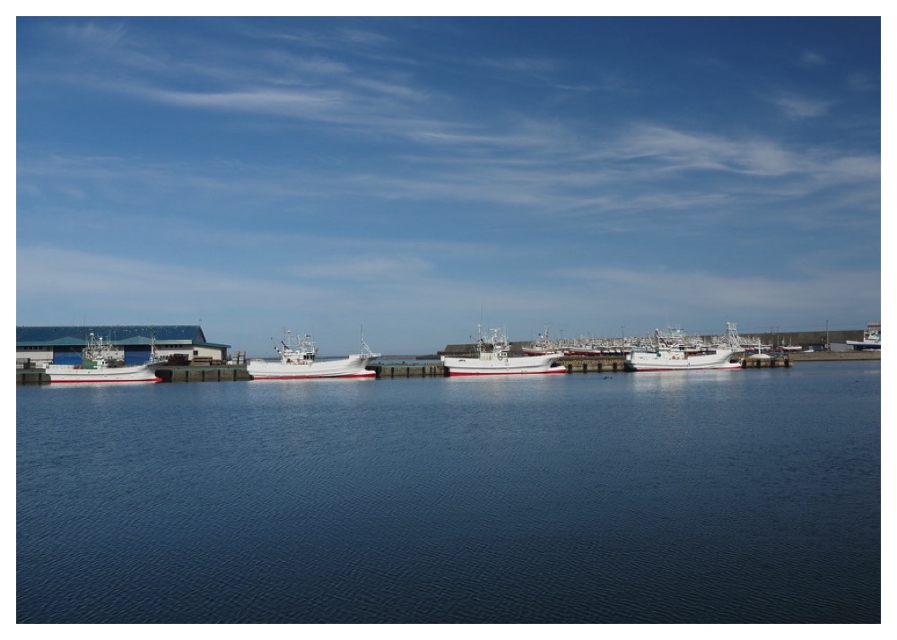 Hiroo-port_240323