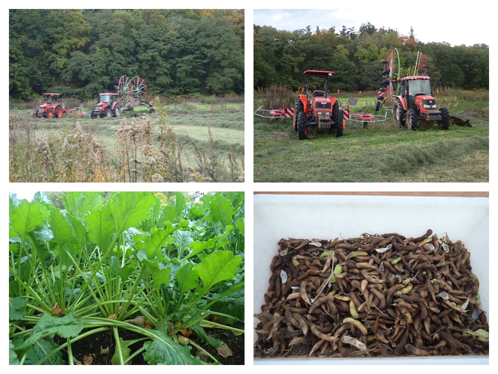 Harvests_201015