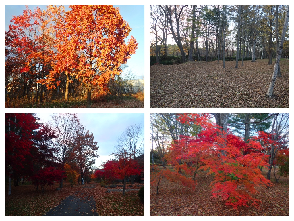 Late_fall_201030_1