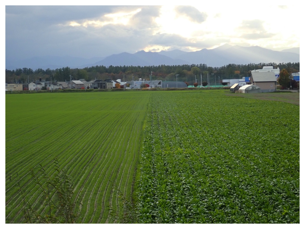 Manabe_201019_13
