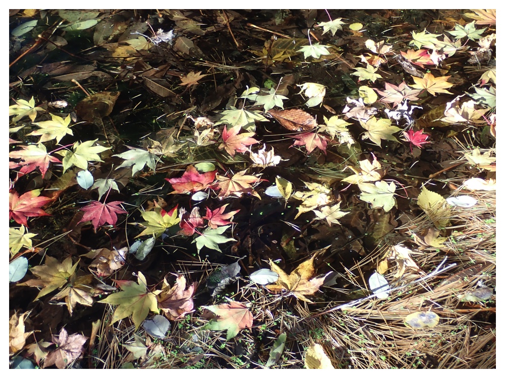 Manabe_201026_6