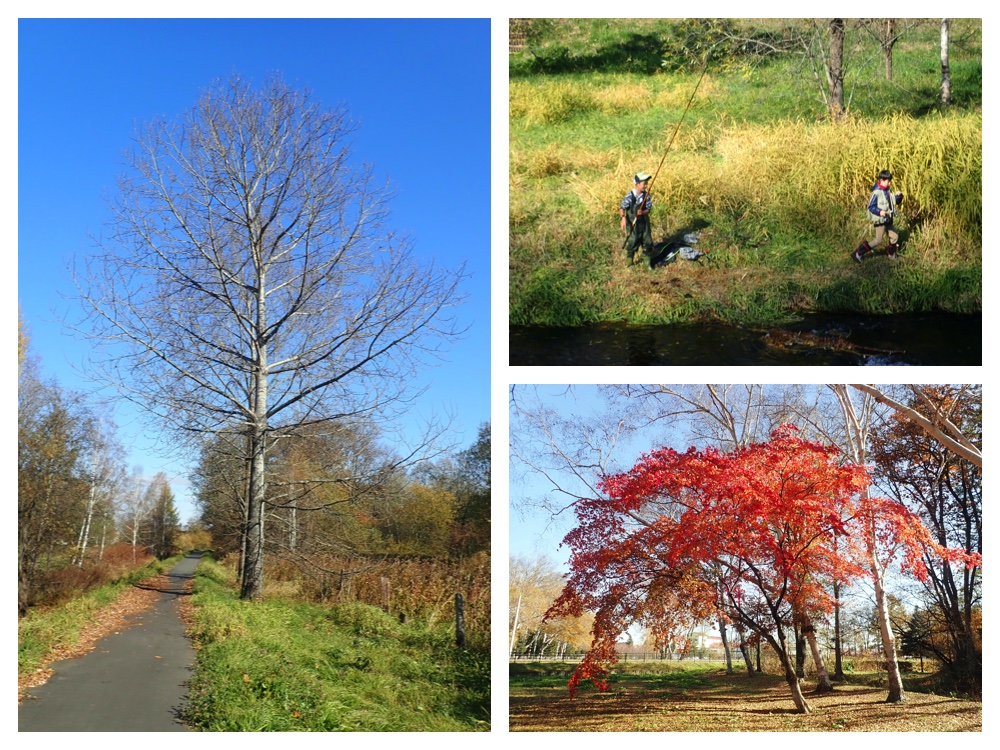 Walk_201031_3