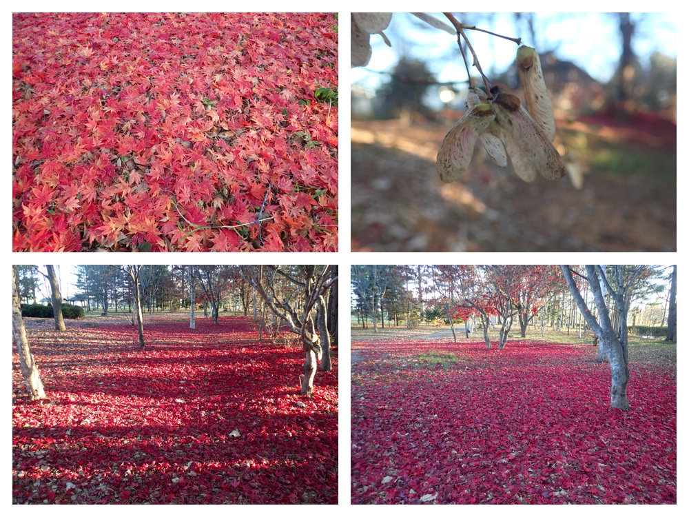 Walk_201110_2