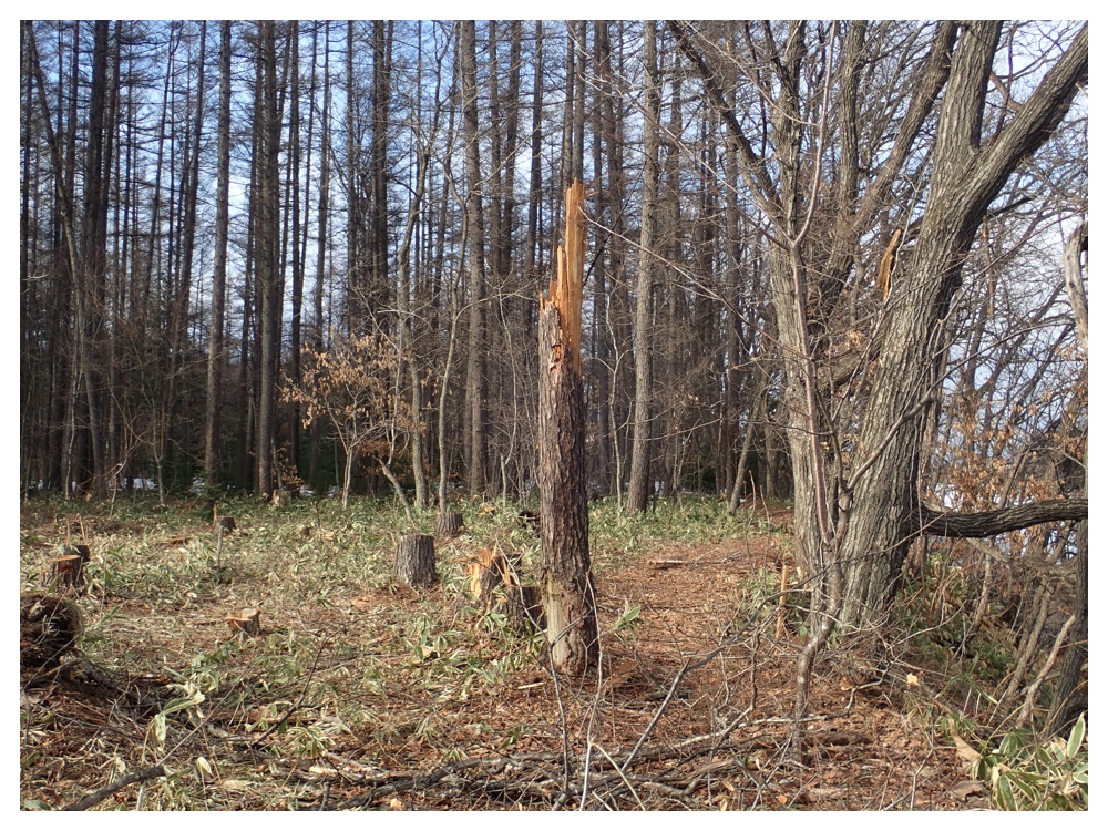 recent_330-87