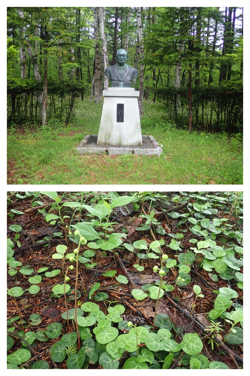 Ezorisu_210530_11