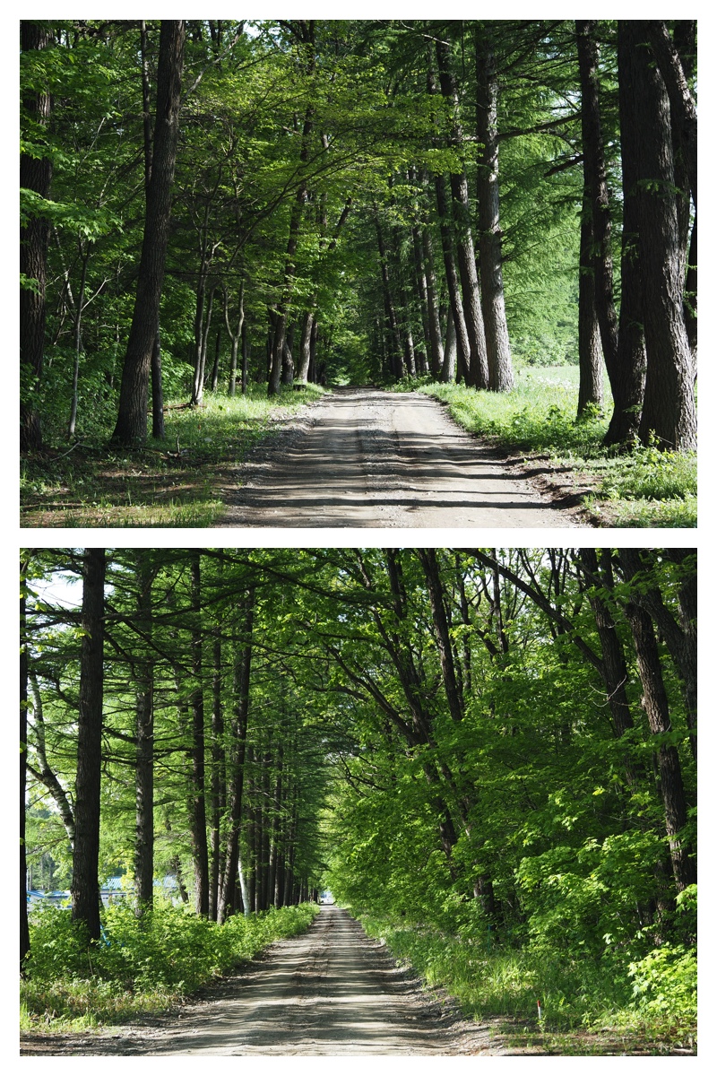Noukou_210602_1