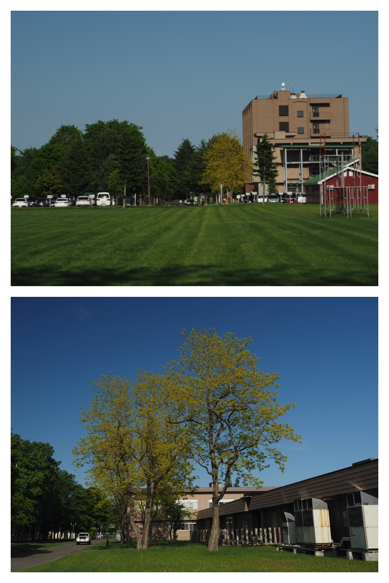 Urikai_210602_13