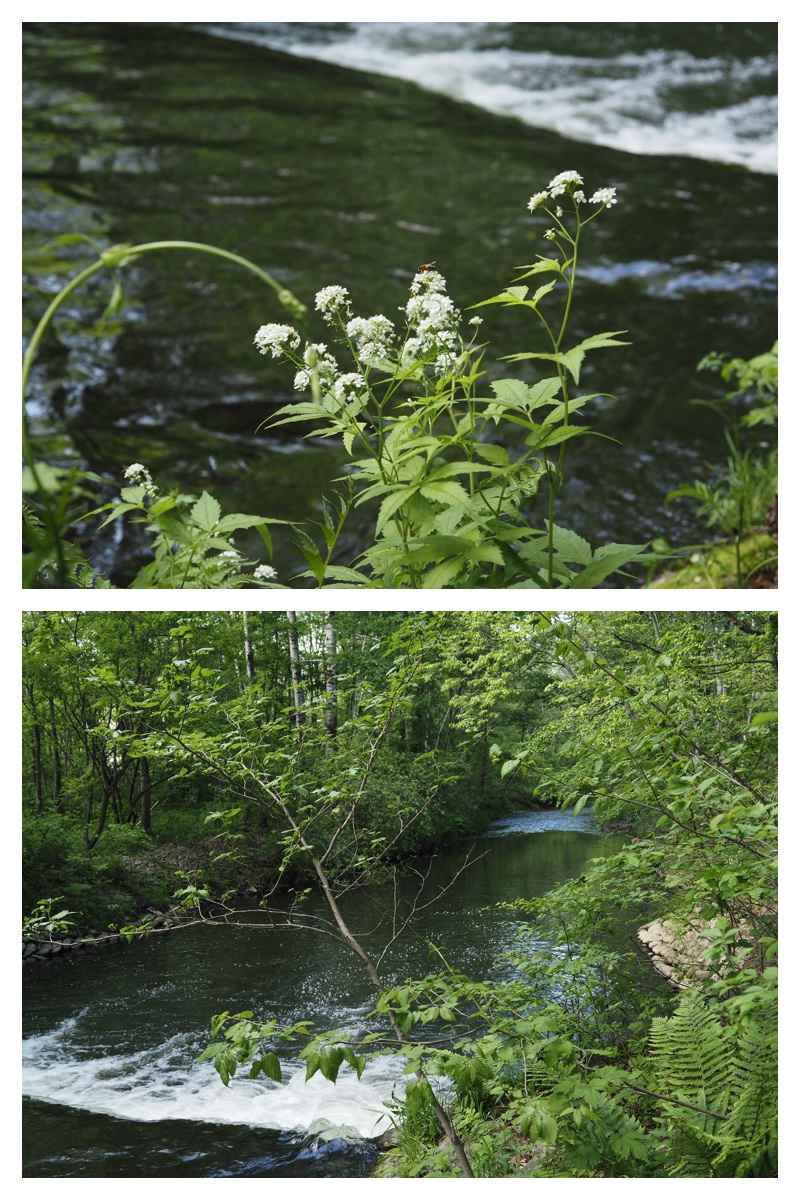 Urikai_210602_5