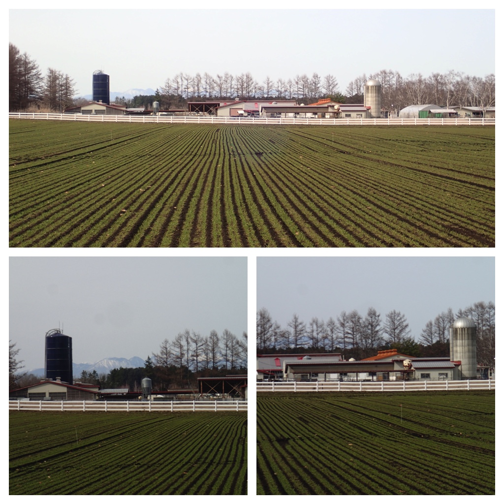 Walk_210402_10