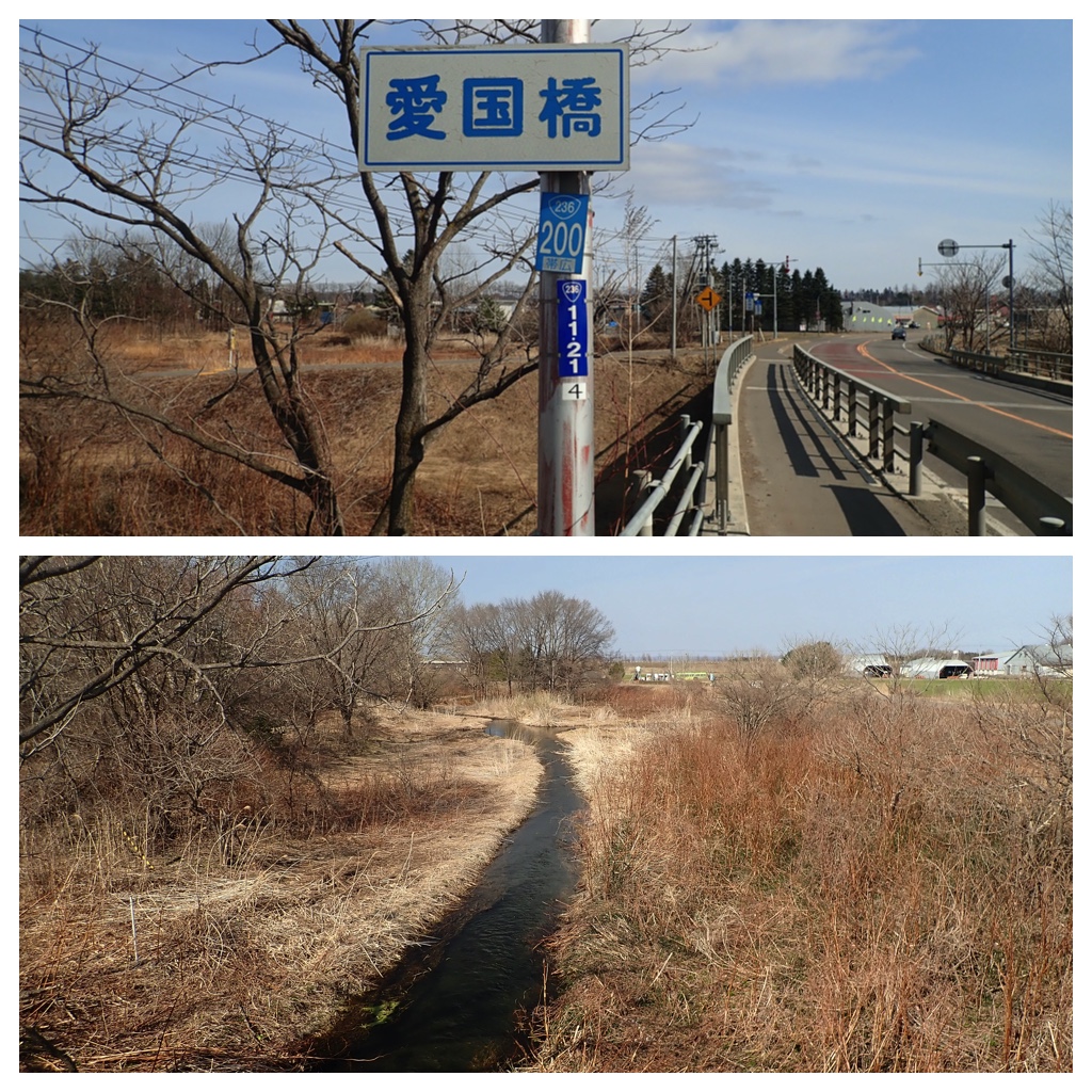 Walk_210407_6
