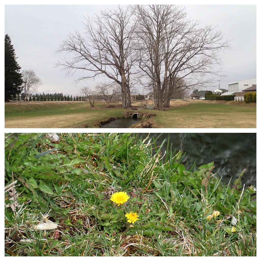 Walk_210413_1