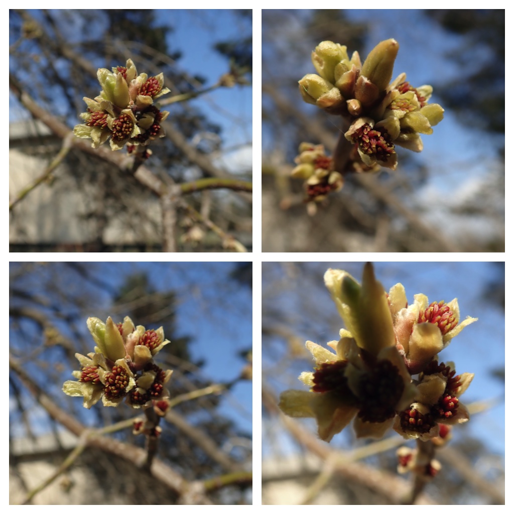 Walk_210415_7
