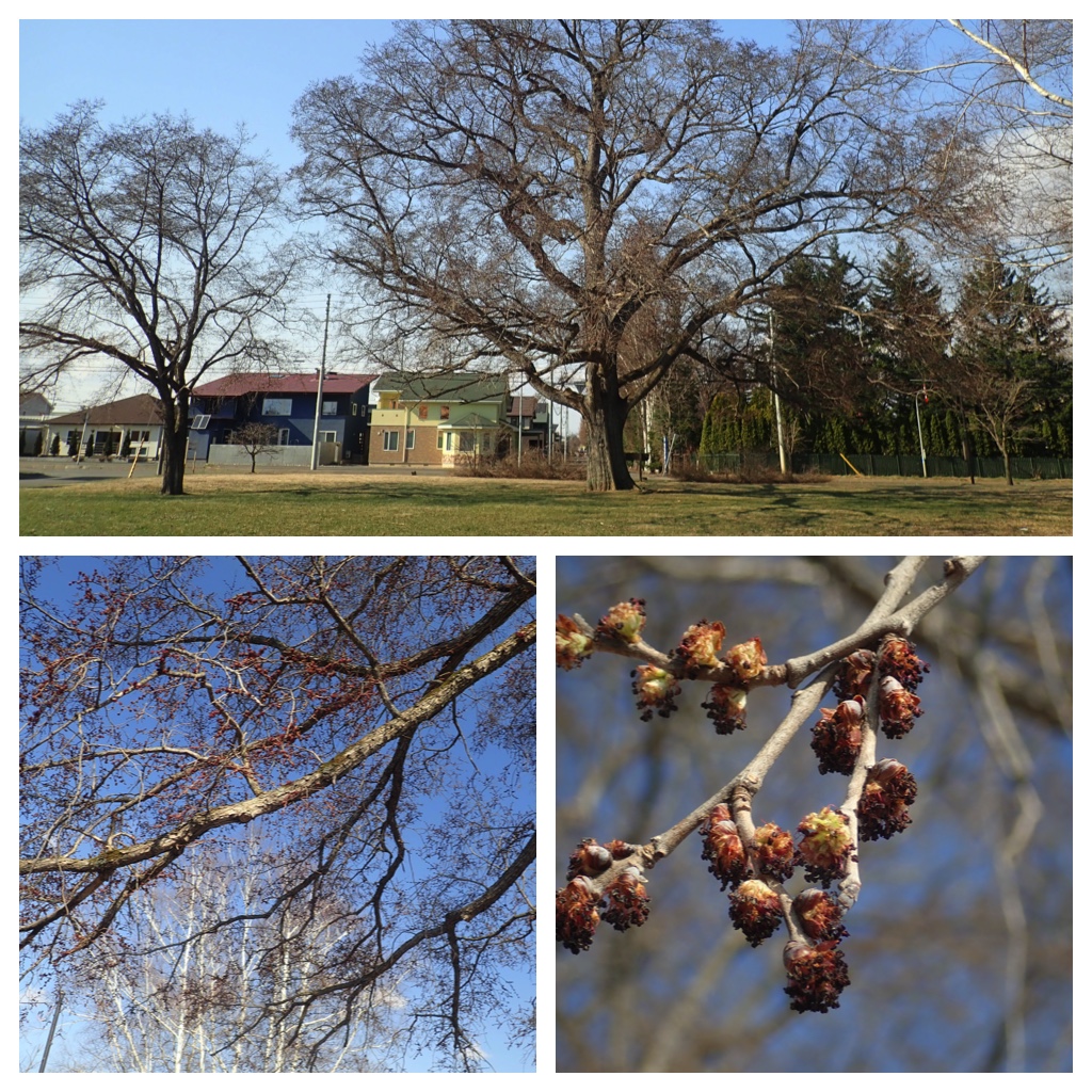 Walk_210415_9