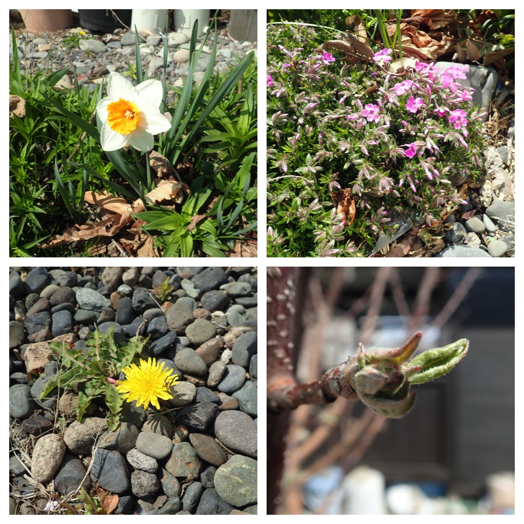 Walk_210421_1
