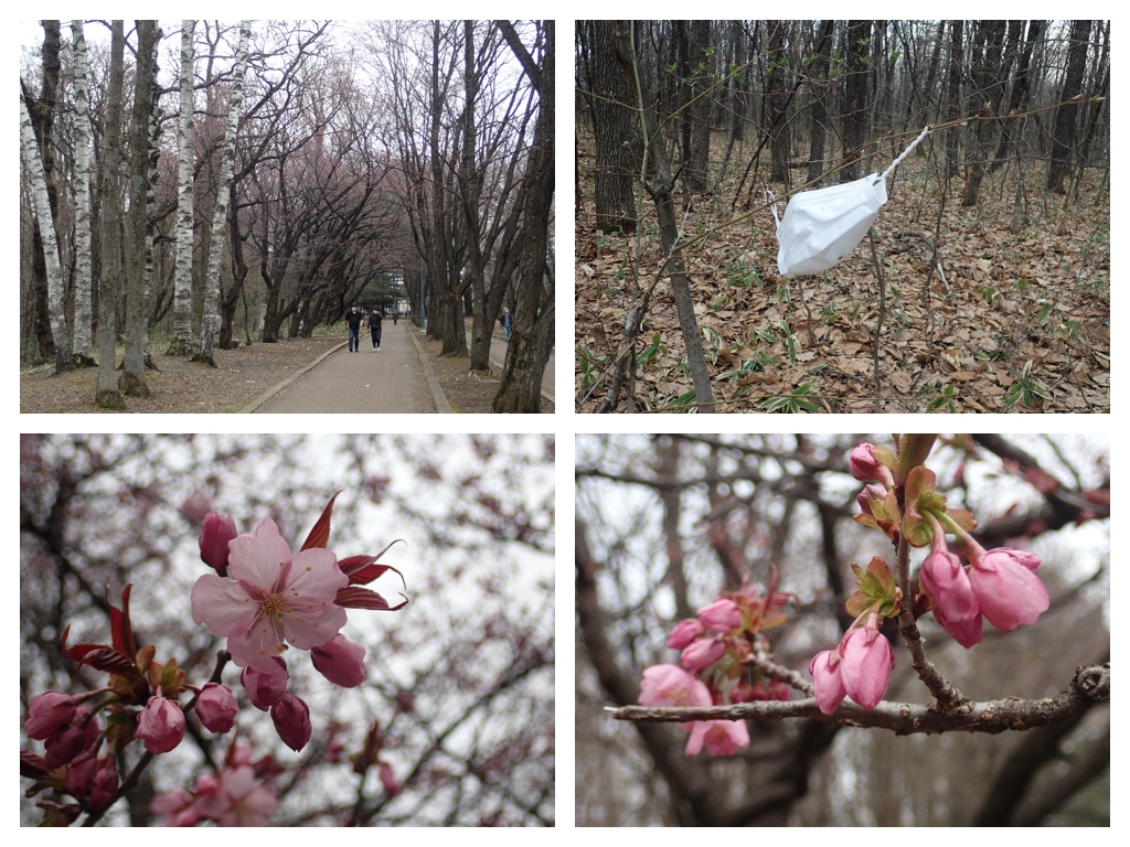 Walk_210424_8.jpg