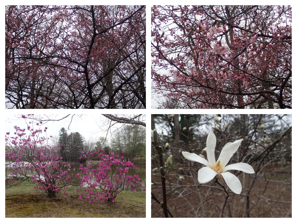 Walk_210424_9.jpg