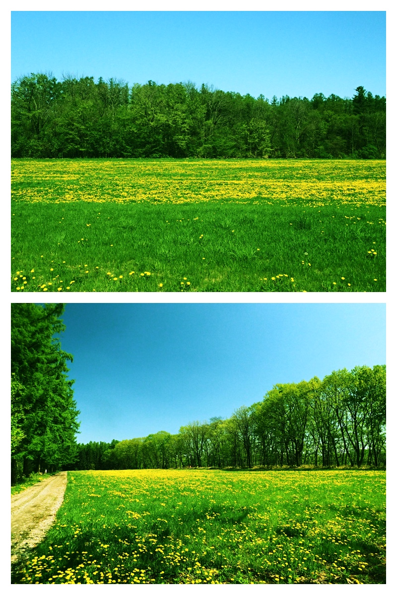 Walk_210520_1