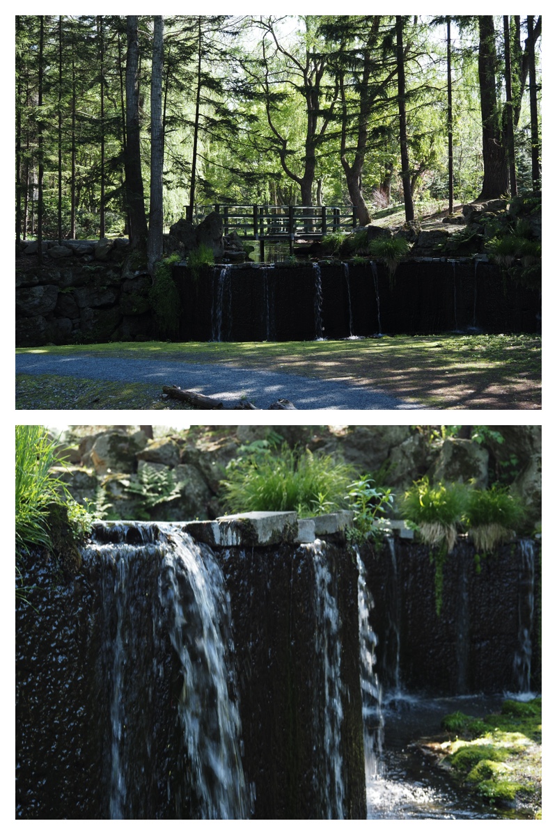 Walk_210520_11