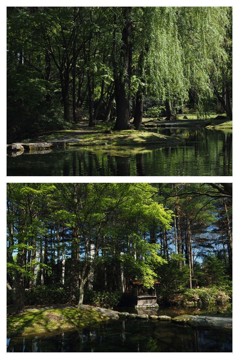 Walk_210520_14