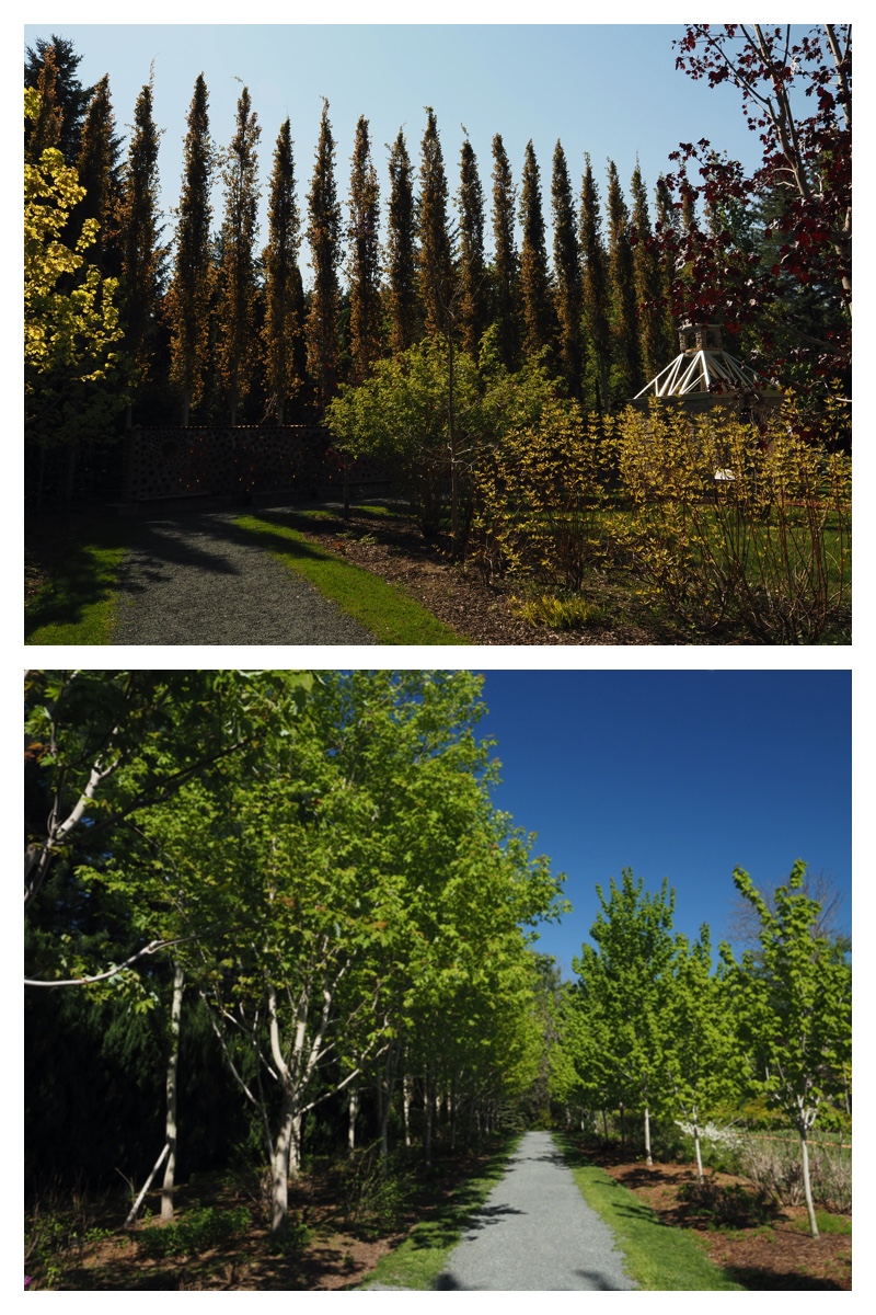 Walk_210520_16