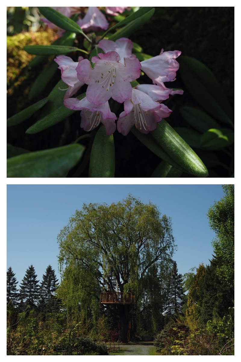 Walk_210520_18
