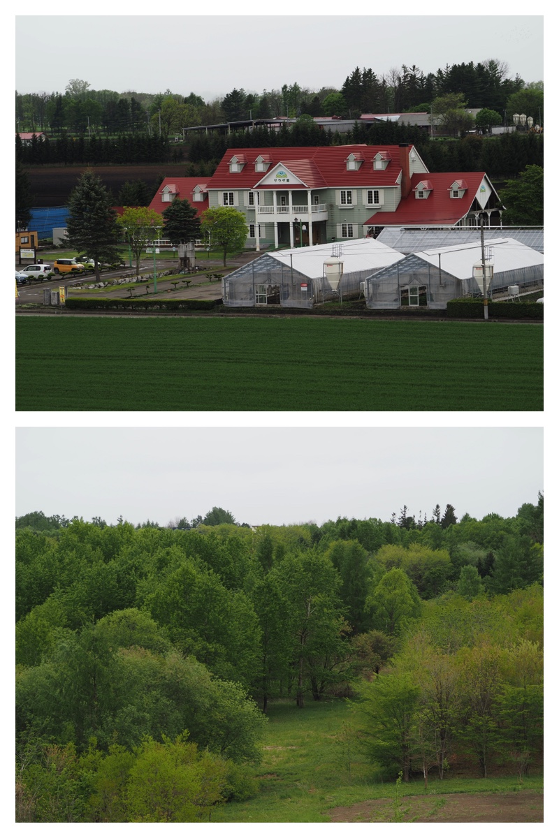 Walk_210522_12