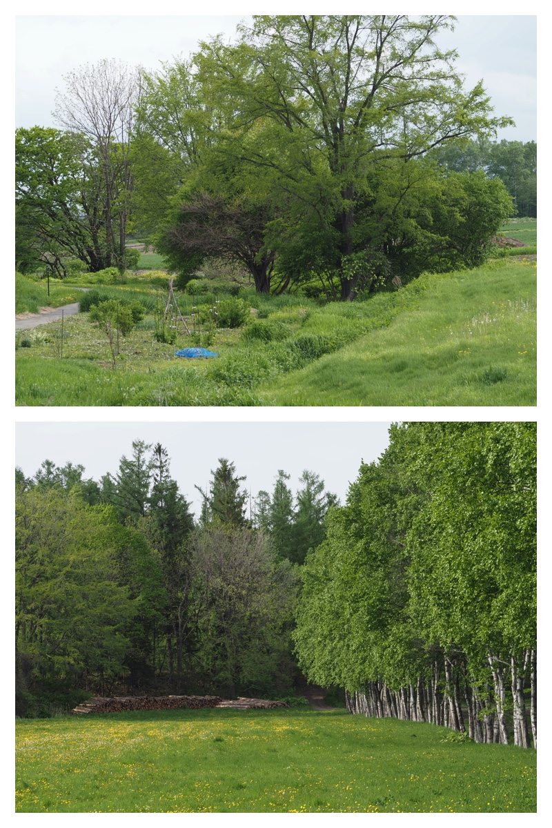 Walk_210524_10
