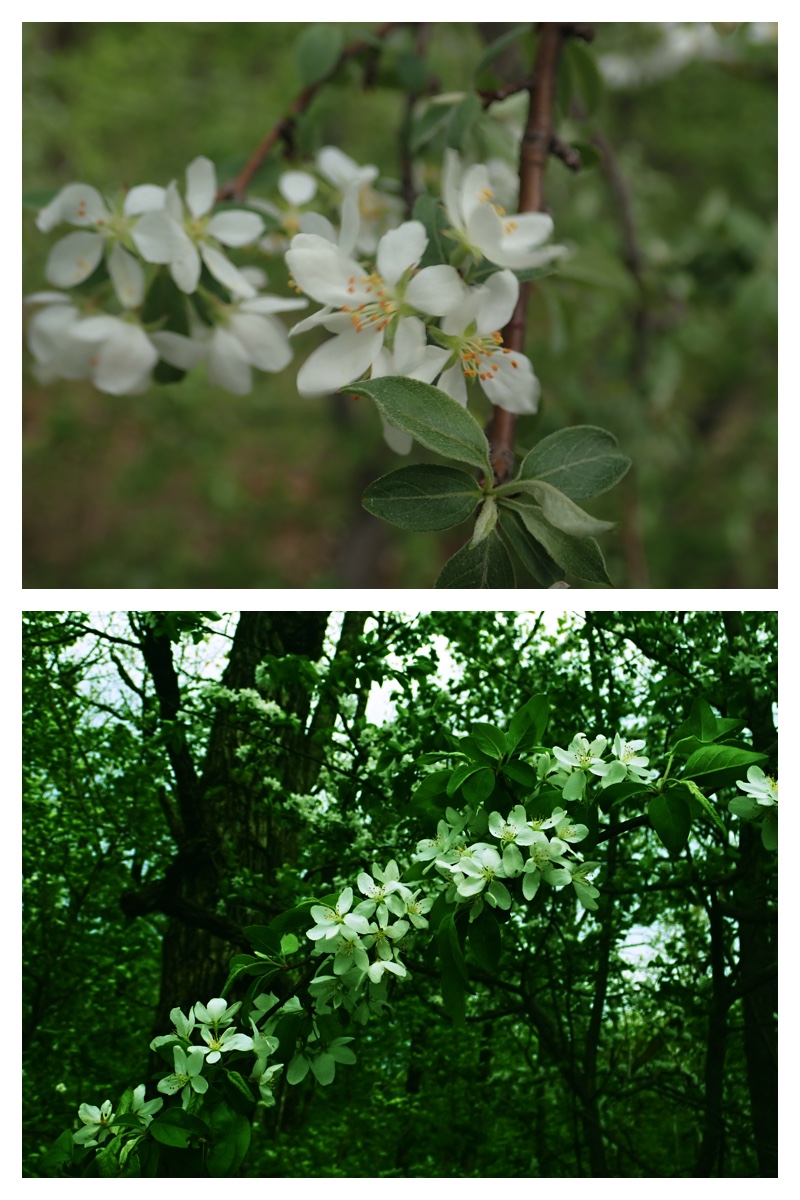 Walk_210524_162