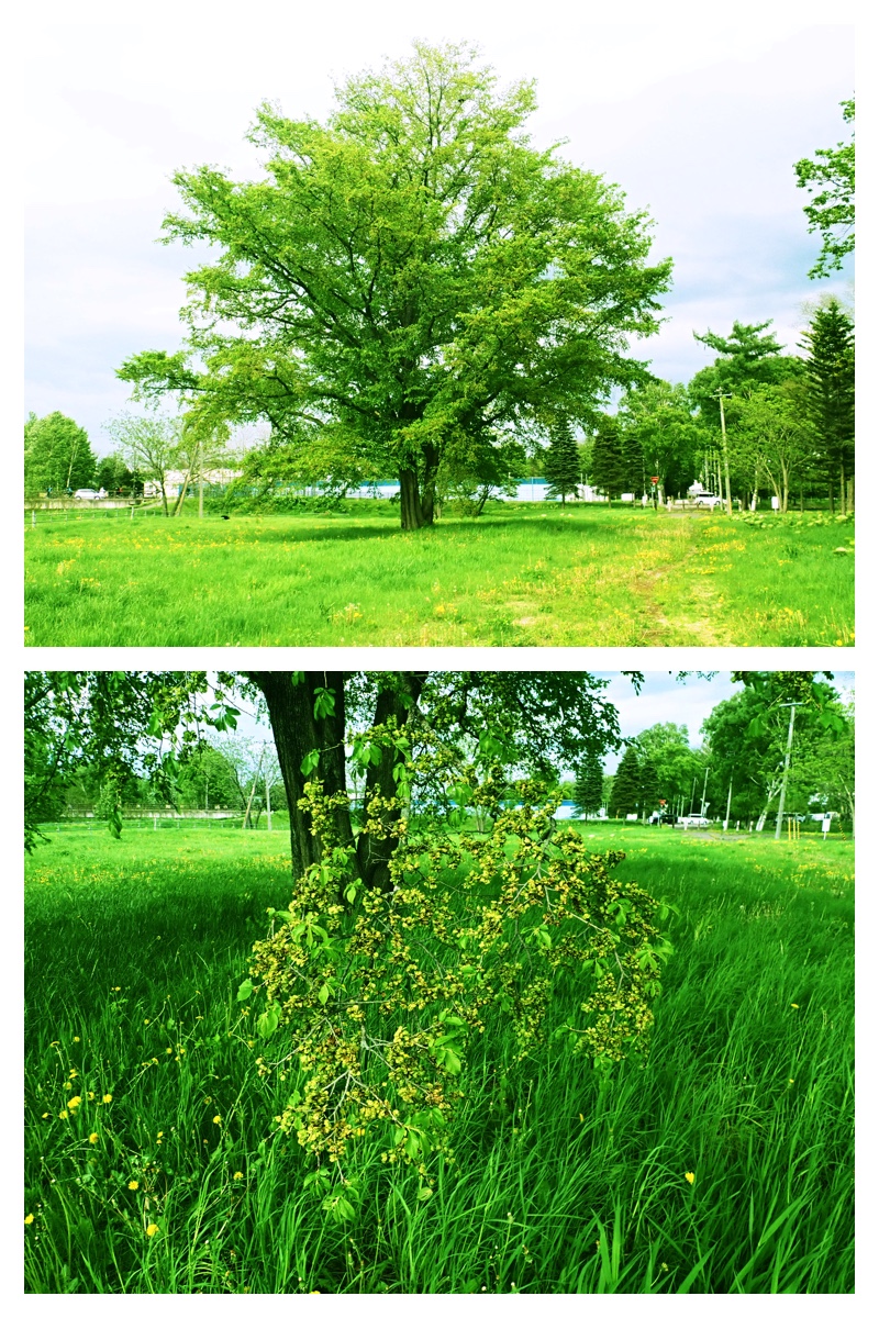 Walk_210524_20