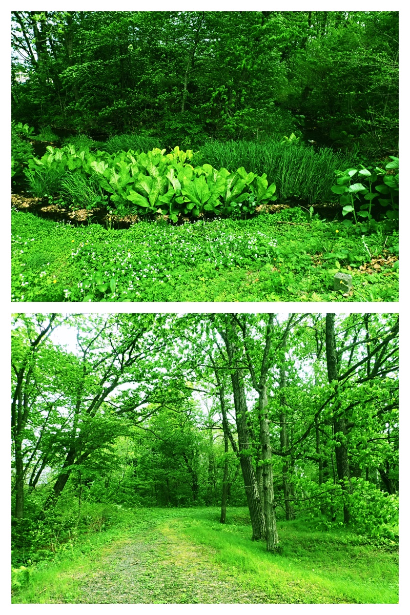 Walk_210524_21
