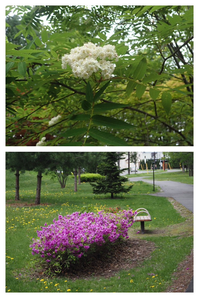 Walk_210524_25