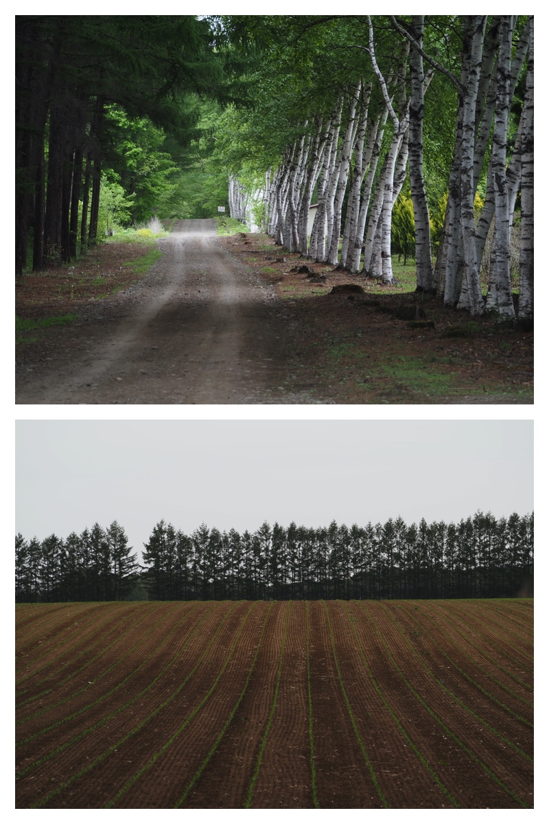 Walk_210527_10