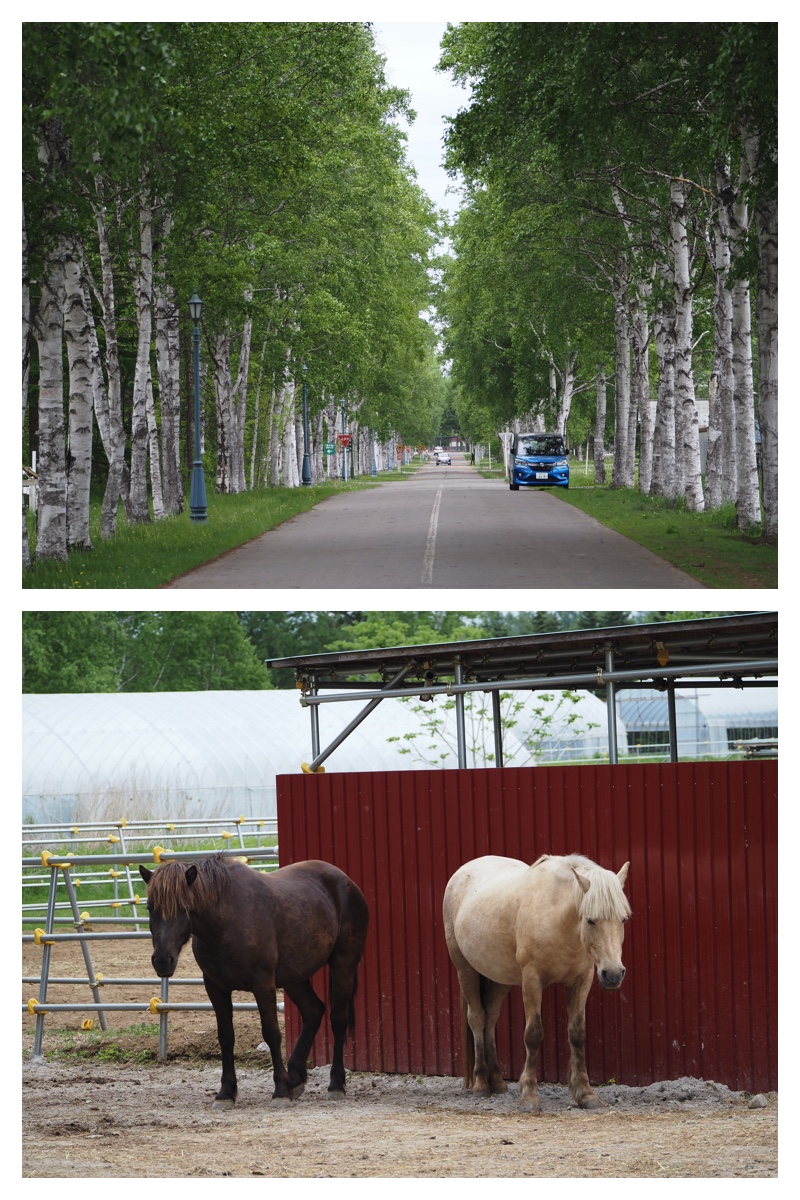 Walk_210527_8