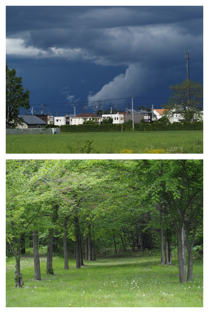 Walk_210530_1