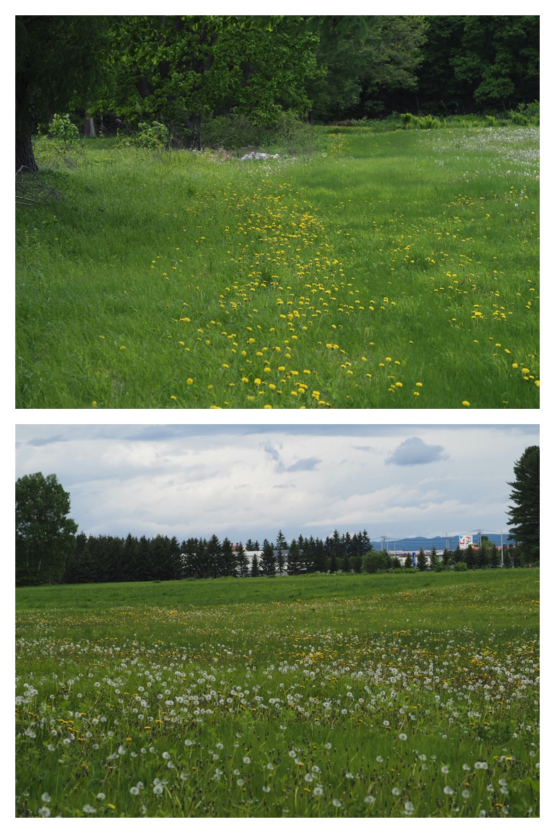 Walk_210530_2