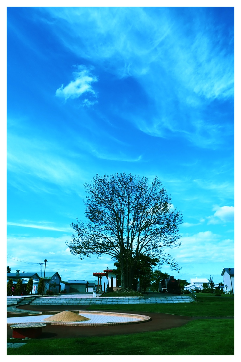 Walk_210531_13