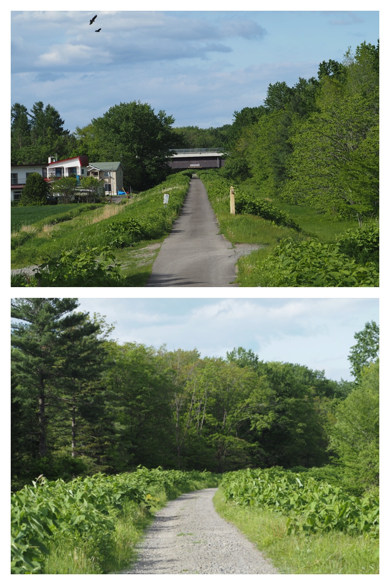 Walk_210531_14