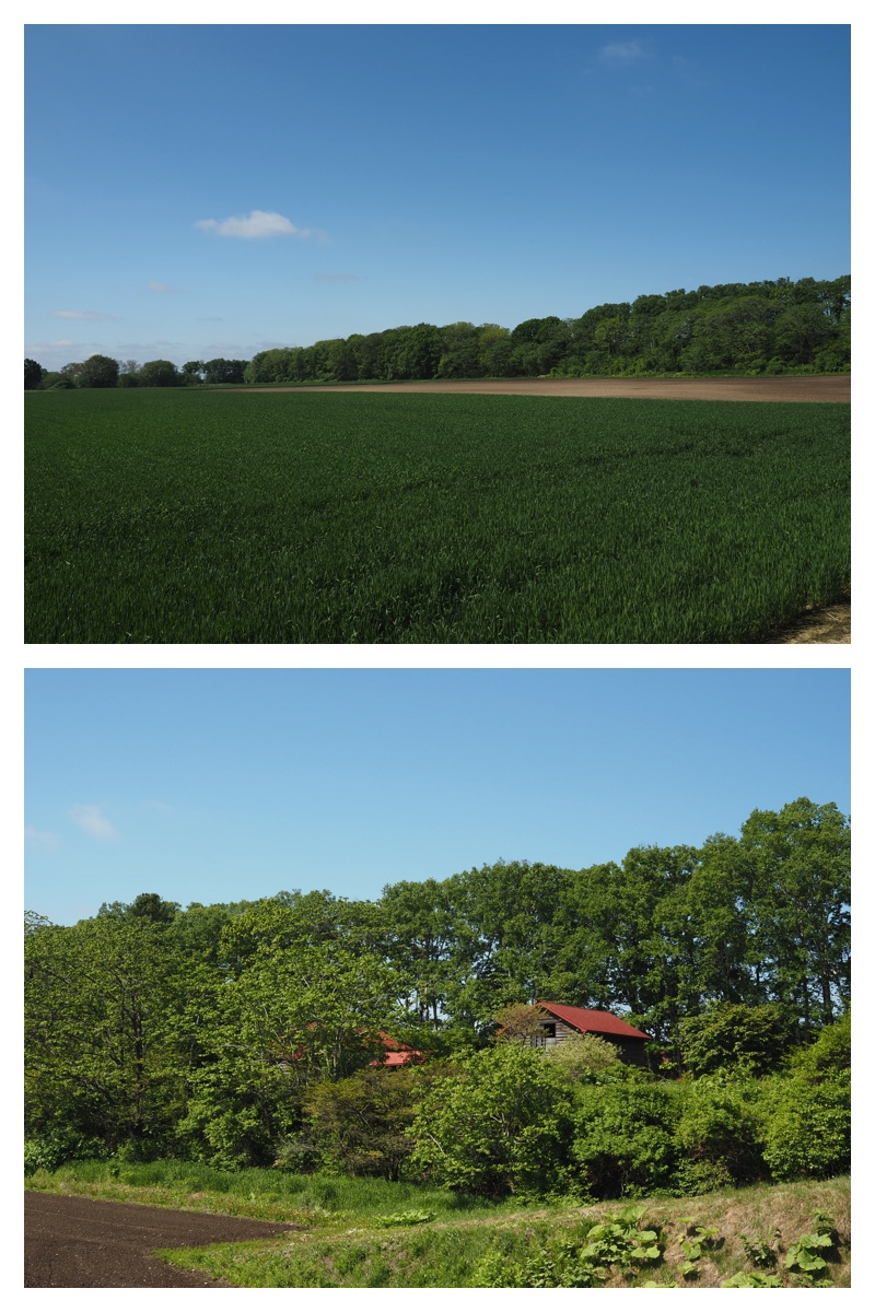 Walk_210601_1
