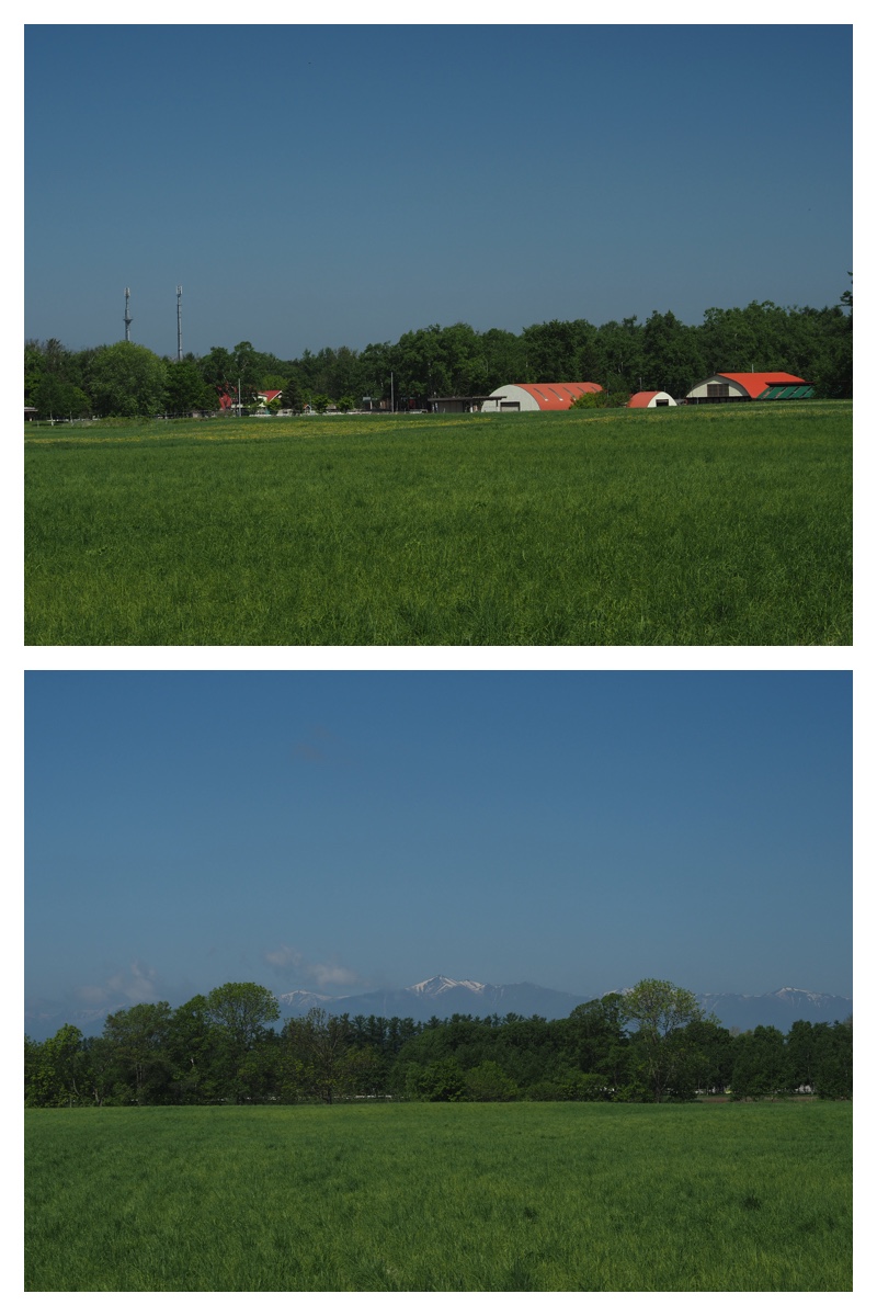 Walk_210601_3