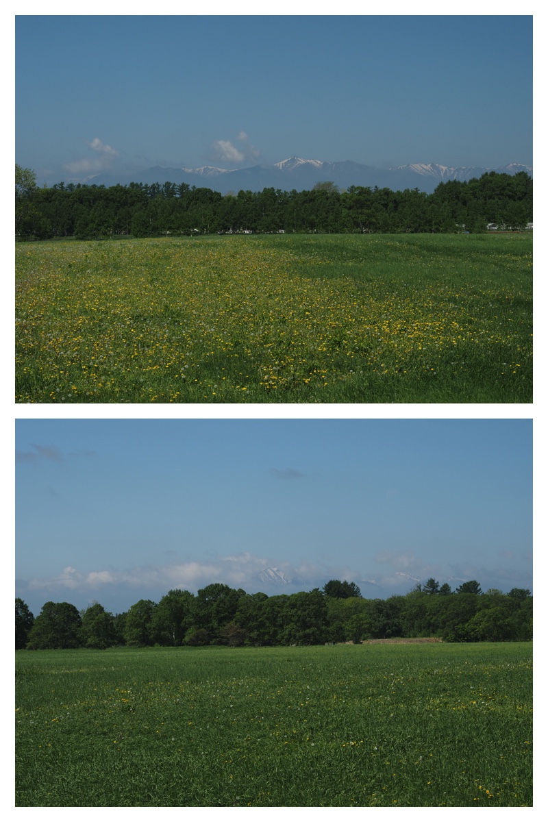 Walk_210601_4