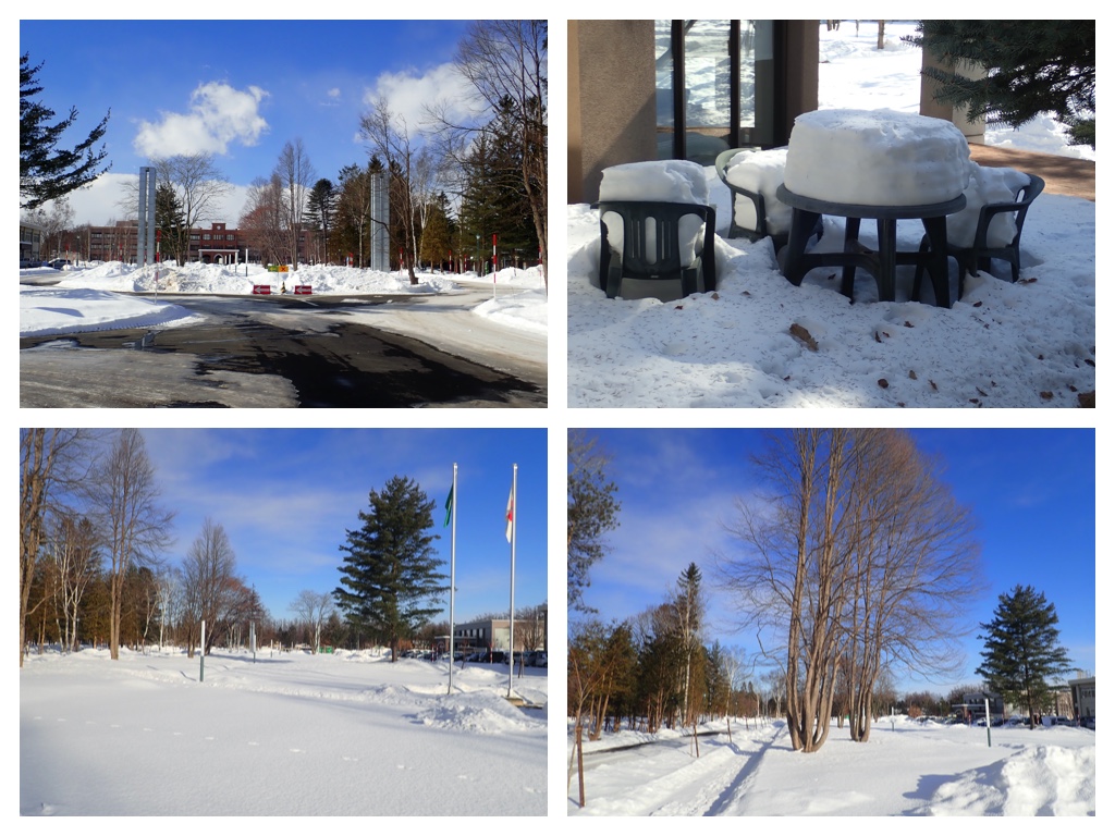 Walk_210208_campus