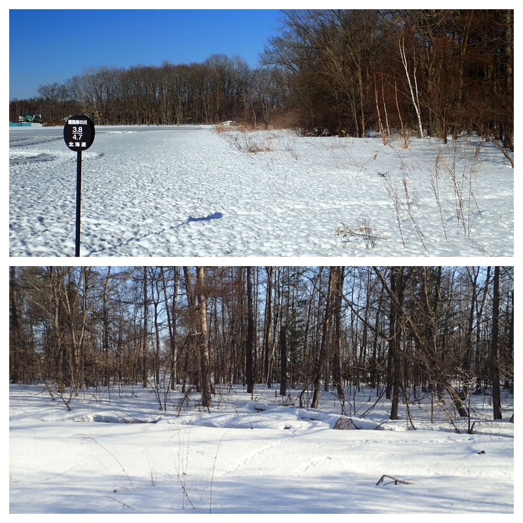 Walk_210312-1